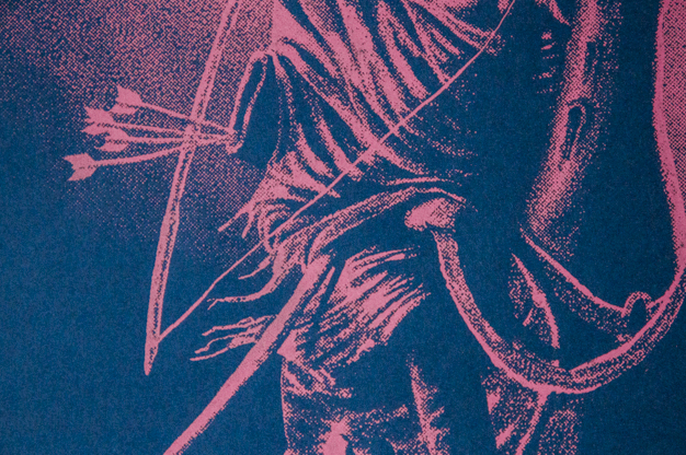 Cock and swan screen print by Christopher L Martin