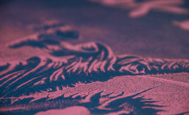 Cock and swan screen print by Christopher L Martin