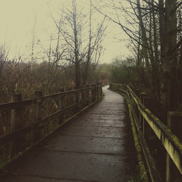 boss not boss instagram boss not boss instagram