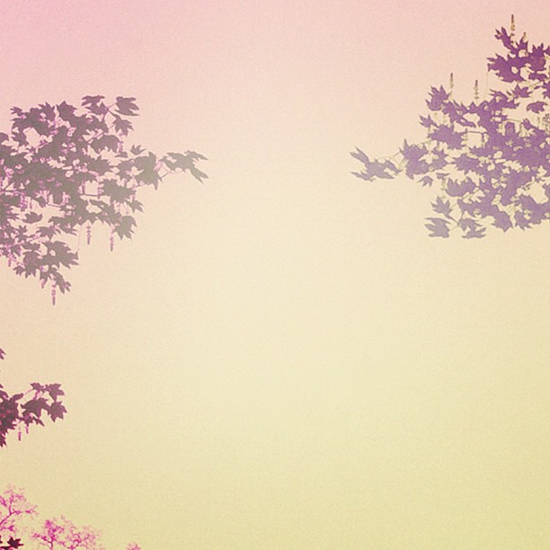 188565791107436820_12249083